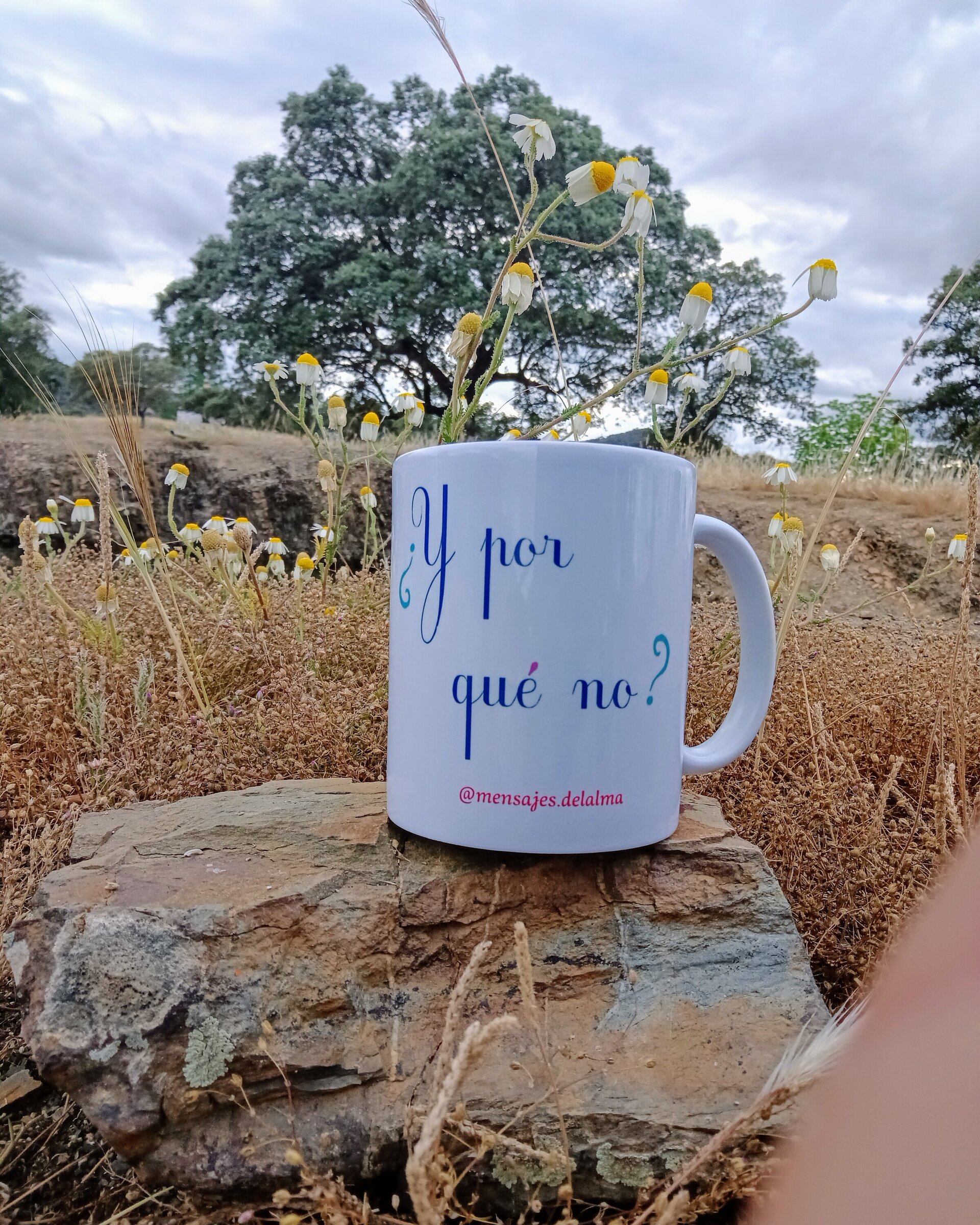 Taza Y por qué no? - 2