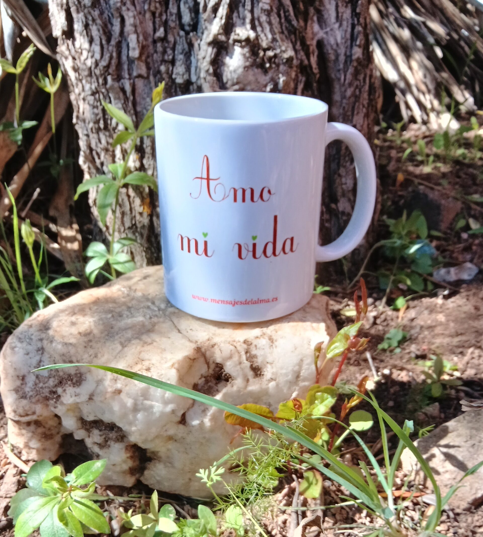 Taza amo mi vida - 2