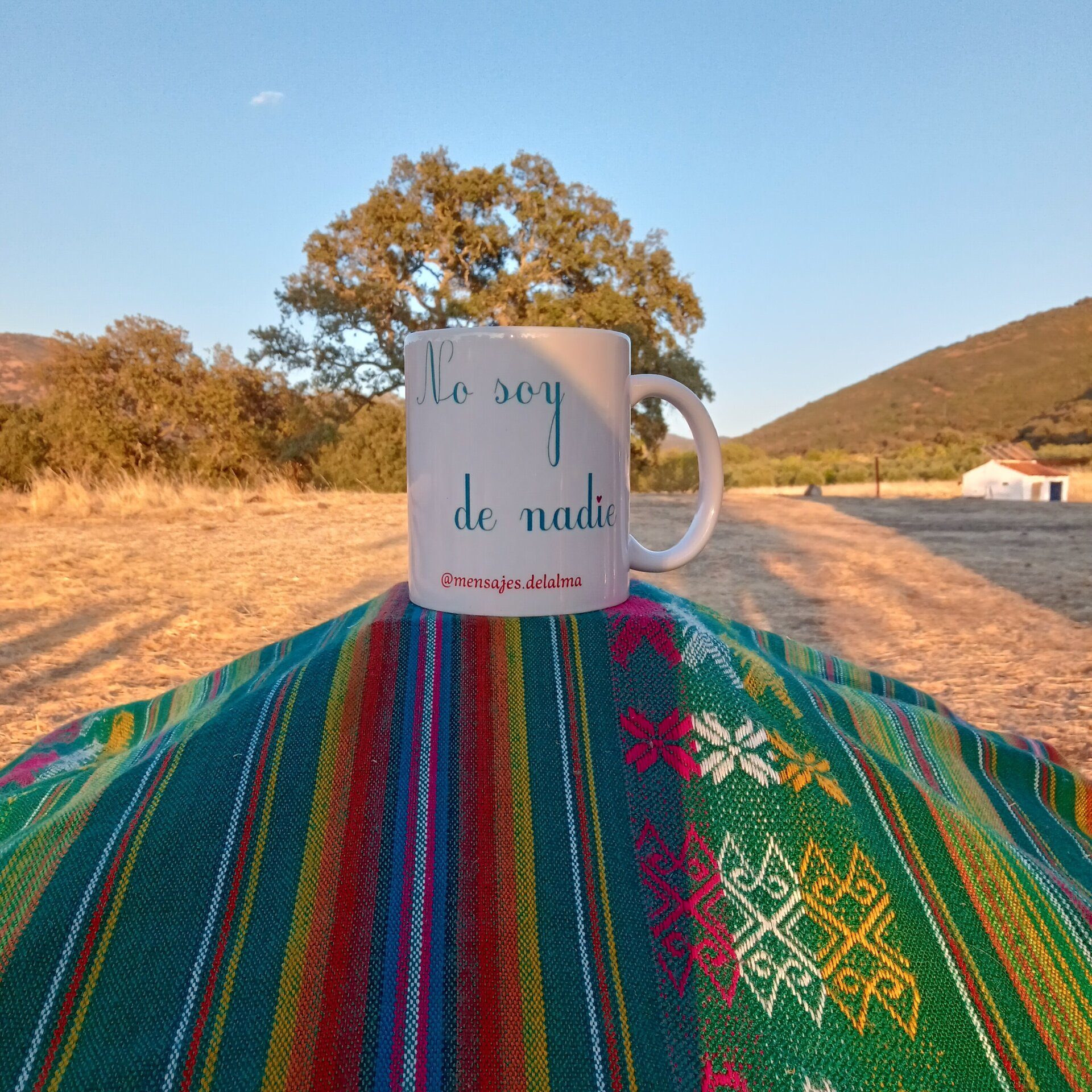 Taza No soy de nadie - 2