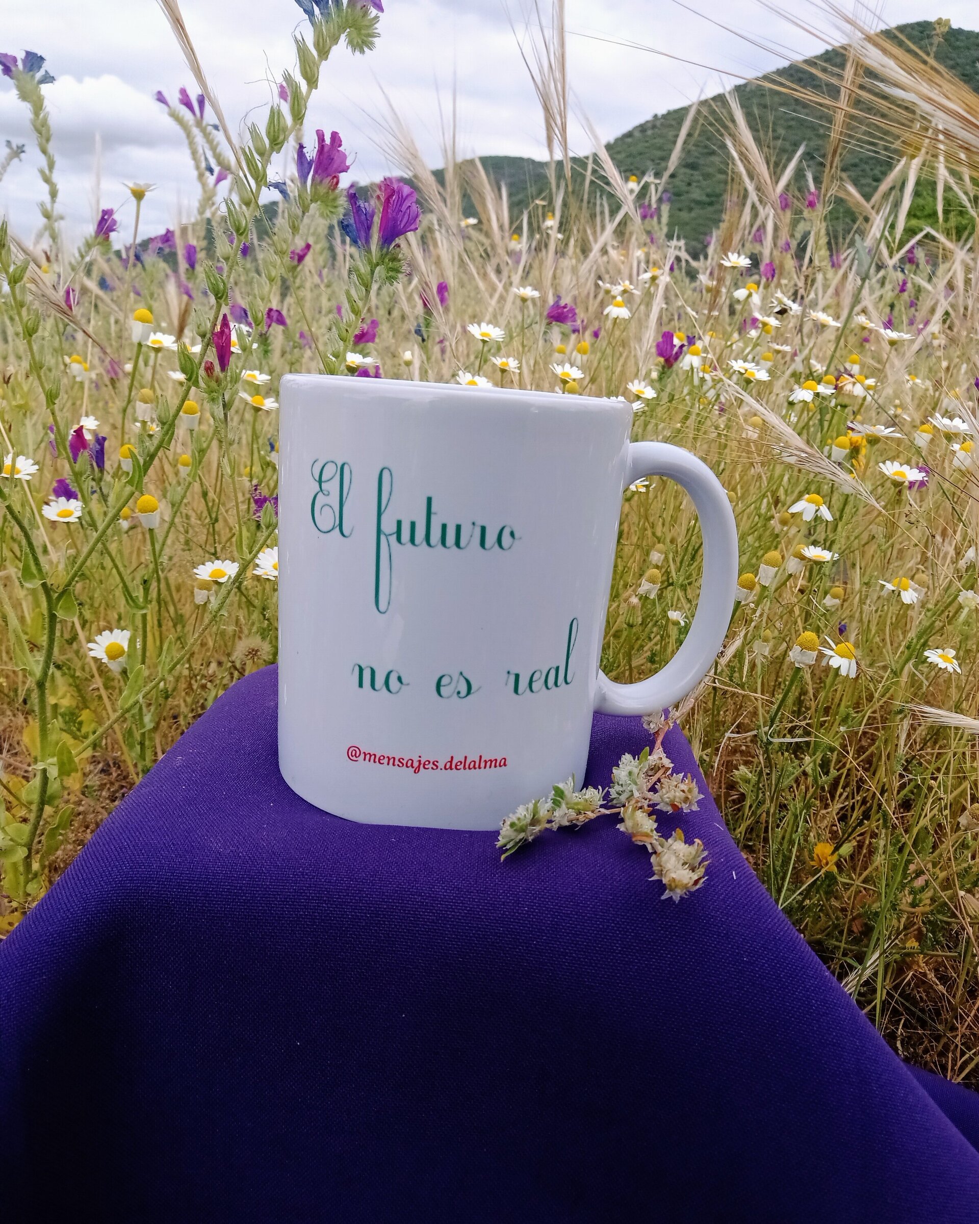 Taza El futuro no es real - 2