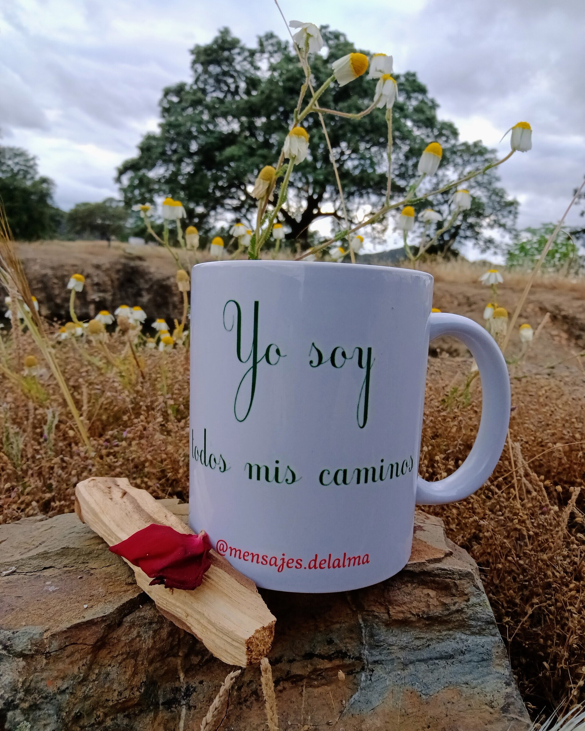 Taza Yo soy todos mis caminos - 2