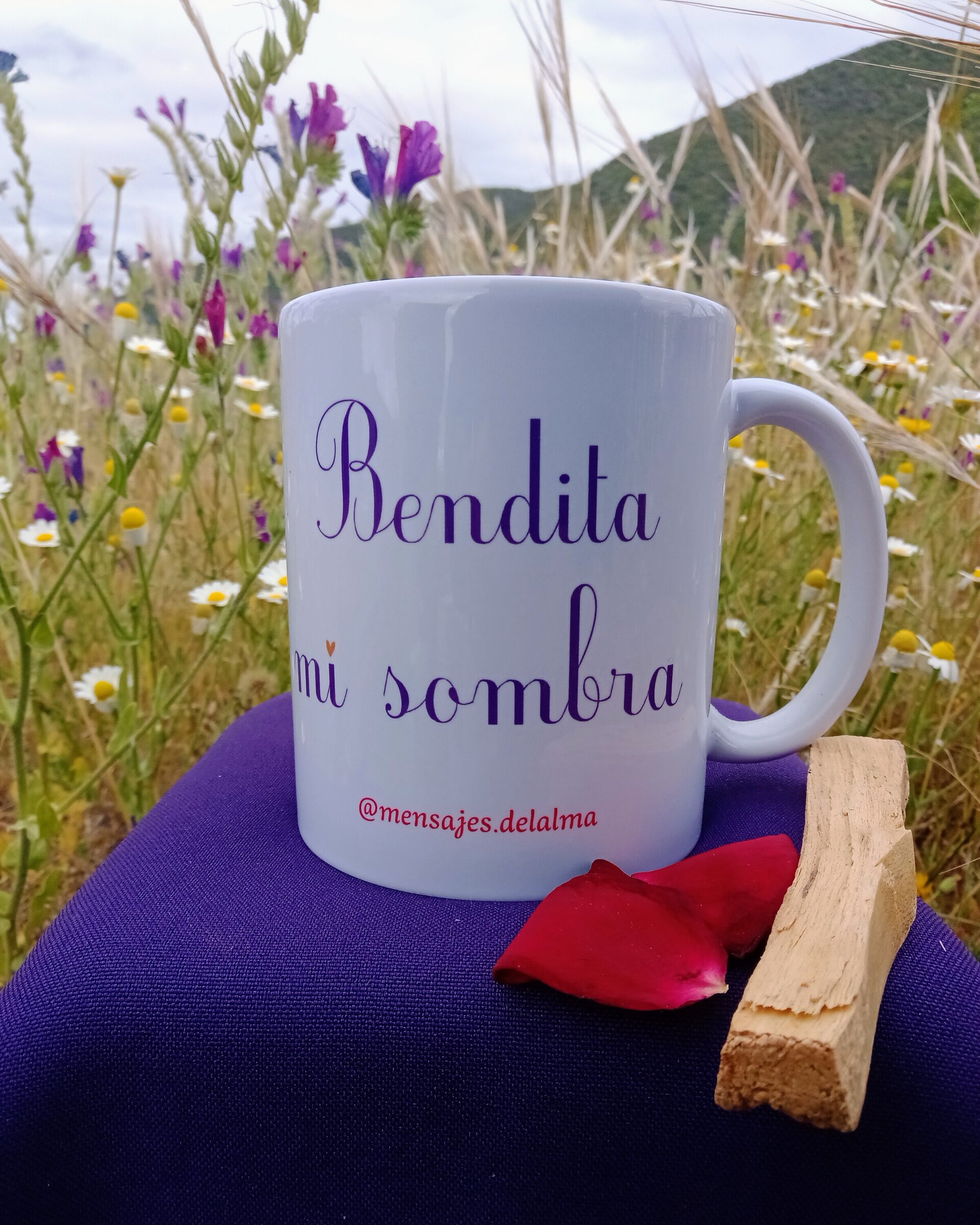 Taza Bendita mi sombra - 2