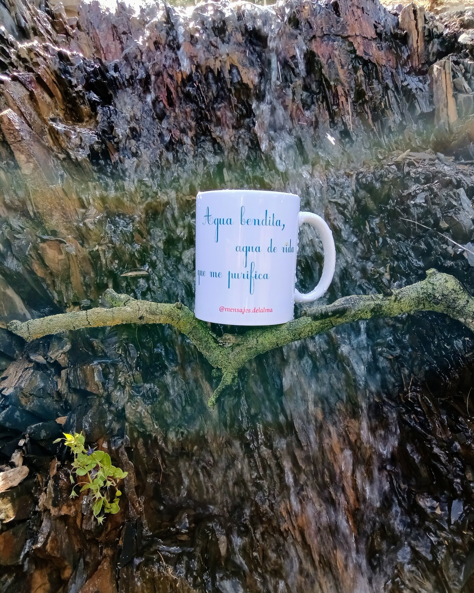 Taza Agua bendita, agua de vida que me purifica - 2