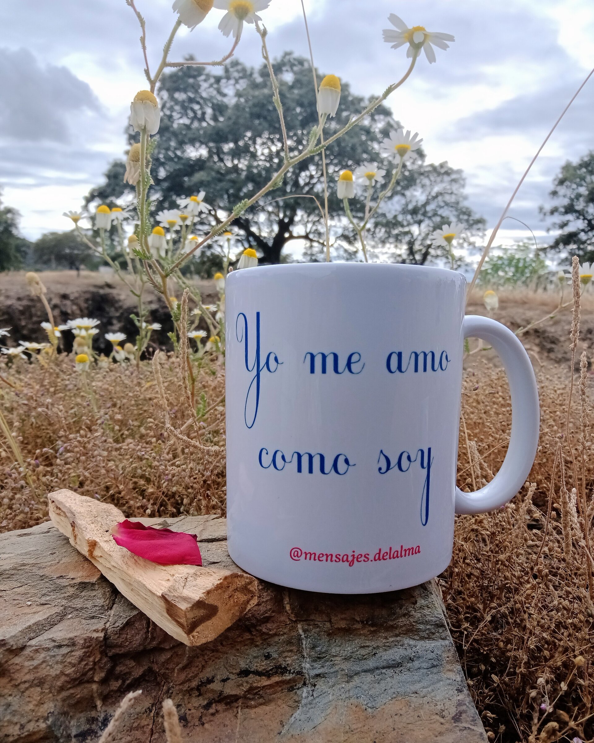 Taza Yo me amo como soy - 2