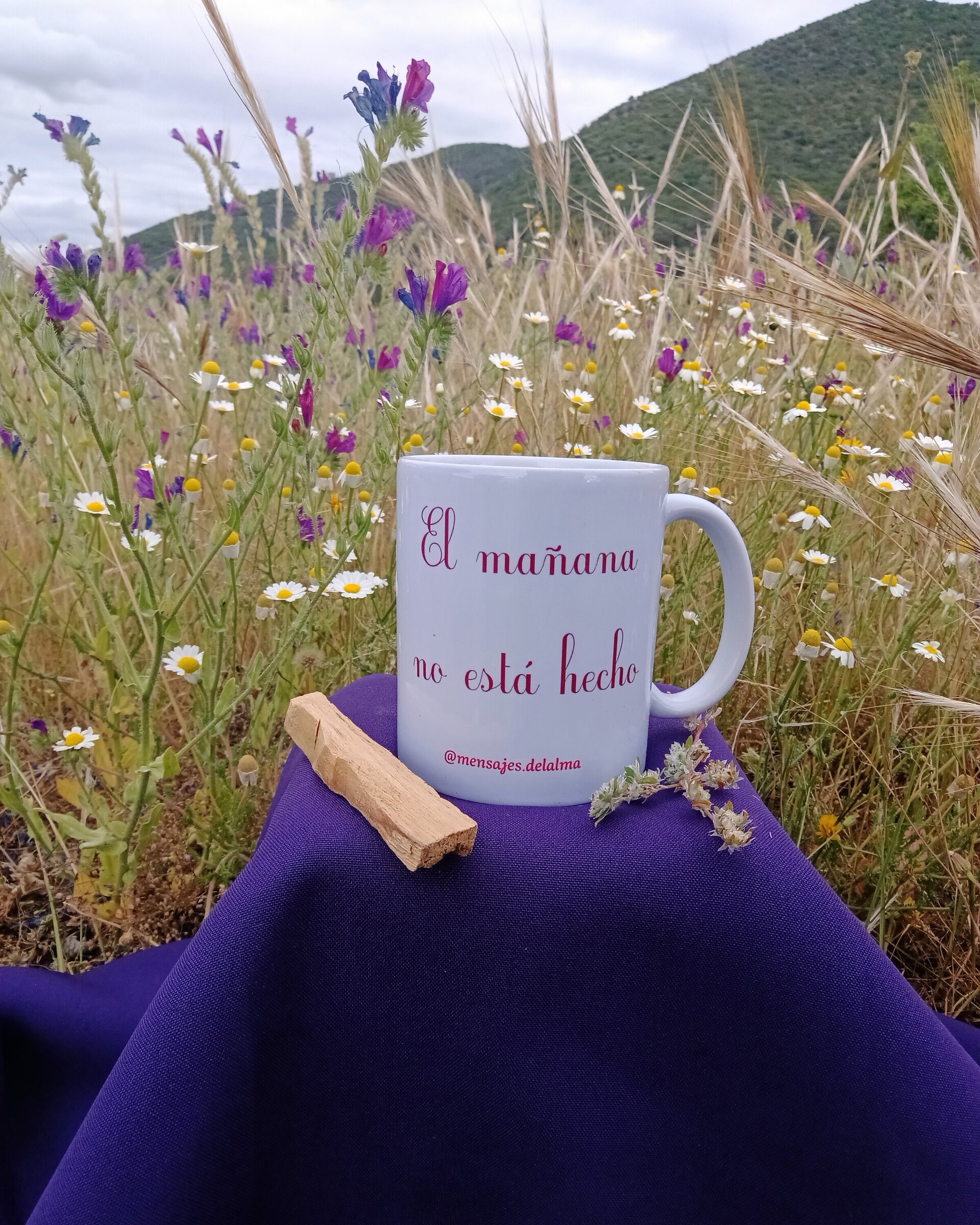 Taza El mañana no está hecho - 2